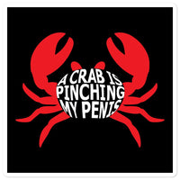 A Crab is Pinching my Penis Stickers - Shirt Bimbo - 