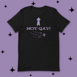 Not Gay Classic Tee